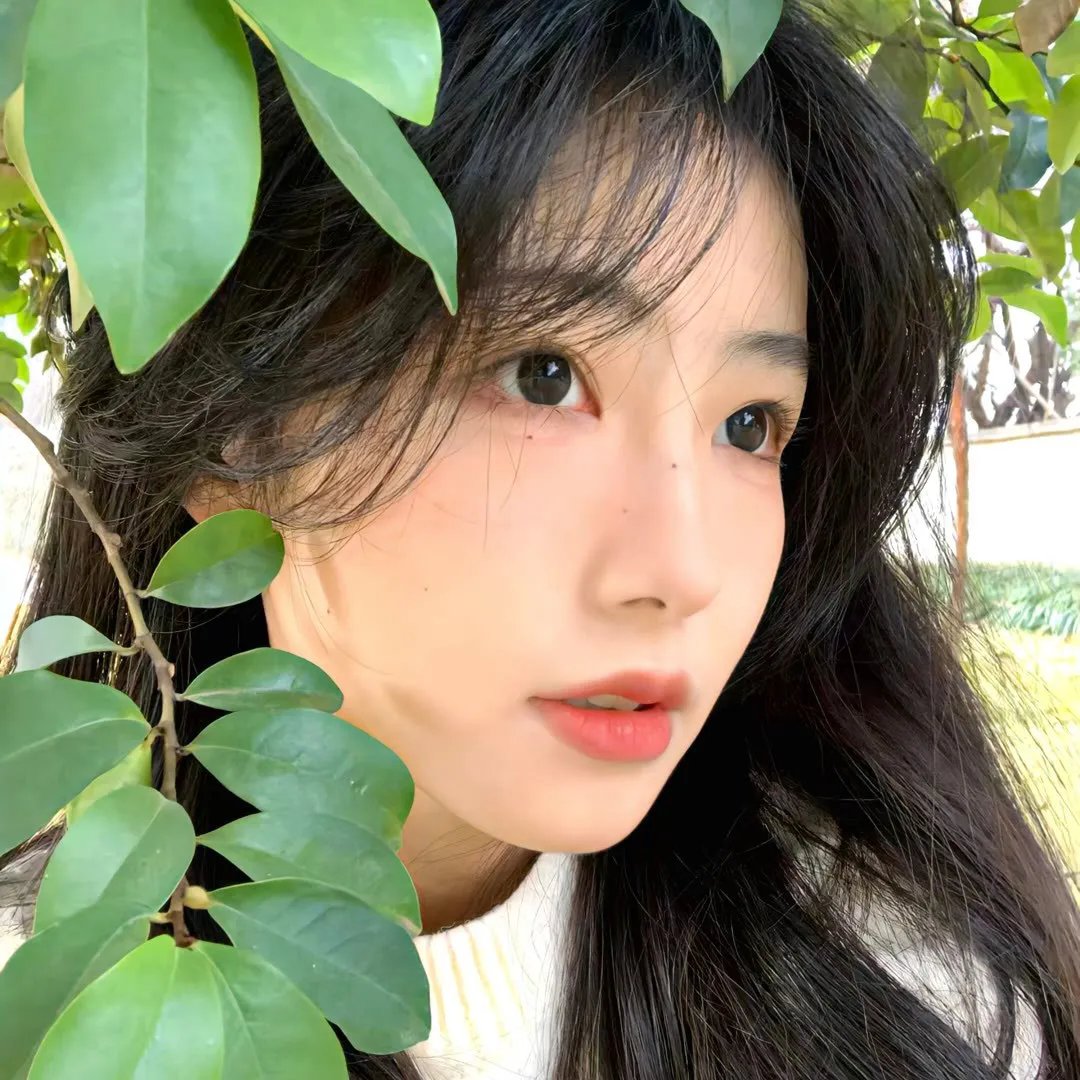 禁区：三个碎片